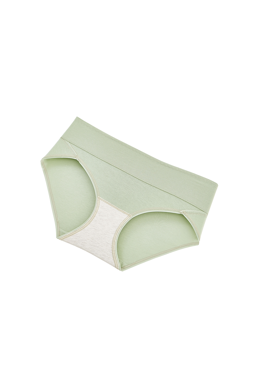 ewp23005-1#color_darkseagreen